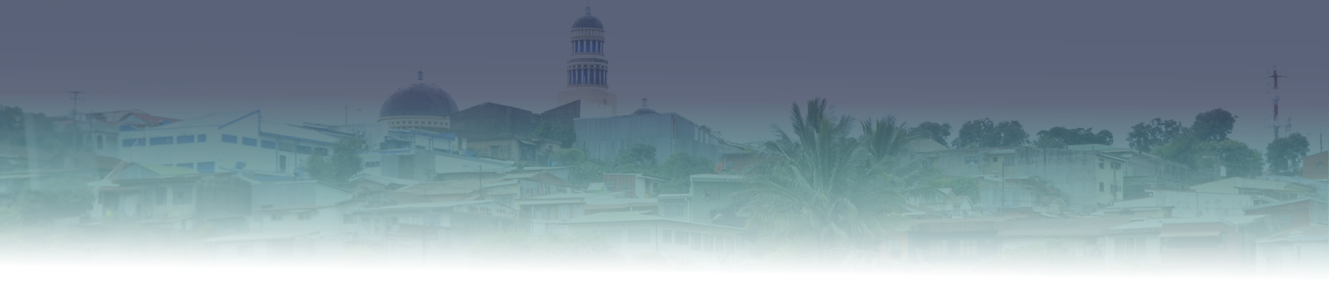 San Jose City Profile Background